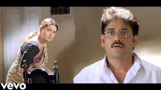 gali mein aaj chand nikla hd video song zakhm nagarjuna pooja bhatt kunal khemu alka yagnik
