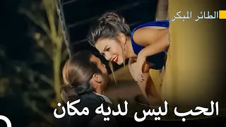 رحلة سينام للعثور على الحب 64 سلسل الطائر المبكر 