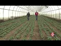 Cultivating crops in the winter months in Dracut Massachusetts
