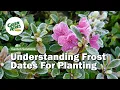 What Is Your Last Frost Date Learn How