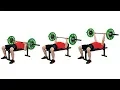 The Bench Press