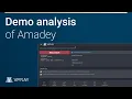 Demo analysis of Amadey