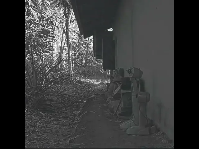 background images
