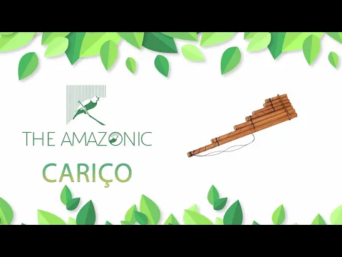 12   Cariáo