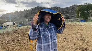 NEW Horse Blanket REVIEW Get the name right and we ll give a COOKIE