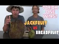 Jackfruit vs Breadfruit The Ultimate Raw Tropical Fruit Taste Test