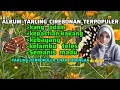 Download Lagu ALBUM TARLING CIREBONAN📌EMPUK DIDENGARKAN#tarlinglawas#tarlingfullalbum#tarlingtengdungterbaru2024