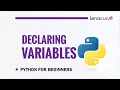 Python Variables Explained Learn Variables for Beginnersvariables