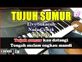 Lagu TUJUH SUMUR Karaoke Elvy Sukaesih | Cover Korg Pa300 Nada Cewek