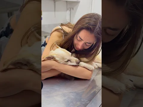 Me despedí de mi perrita… 💔🕊️
