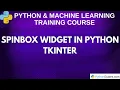 Spinbox Widget in Python Tkinter Tutorial for Beginners
