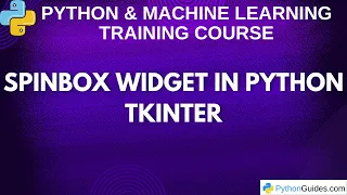 Spinbox Widget in Python Tkinter Tutorial for Beginners