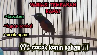 Download MASTERAN KONIN GACOR FULL TEMBAKAN RAPAT DAN BESETAN KAPAS TEMBAK !!! MP3