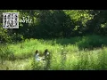 Genevieve Stokes - Habits  [Official Visualizer]