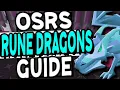 The Ultimate Rune Dragons Slayer Guide OSRS