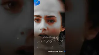 مصطفى حجاج   سنين دندنها
