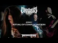 Download Lagu ORPHALIS (Germany) - Ritual of Conflagration OFFICIAL VIDEO (Brutal/Technical Death Metal)