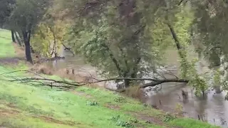 Heavy rainfall fuels flood risk and debris in Sacramento creeks