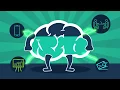 What is the Forgetting Curve