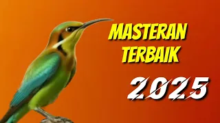 masteran kompilasi mewah untuk semua jenis burung