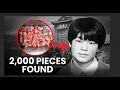 2 000 Pieces The Unsolved Diao Aiqing Mystery