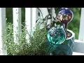 Watering globes for outdoor house plants - Do they work How to use them