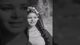 عزيزي المواطن عزيزي الفقير   ثرثرة فوق النيل دندنها