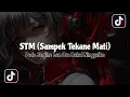 Download Lagu DJ PODO JANJINE LAN ORA BAKAL NINGGALKE [ STM - SAMPEK TEKANE MATI ] SLOW REMIX VIRAL TIKTOK TERBARU