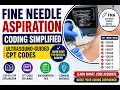 Fine Needle Aspiration Coding Simplified Ultrasound-Guided CPT Codes