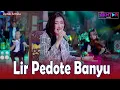 Download Lagu Denik Armila - LIR PEDOTE BANYU | PARGOY KENDANG KEMPUL