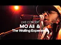 Lagu Mo Ali \u0026 The Wailing Experience   Bob Marley \u0026 The Wailers Tribute Live Rotterdam