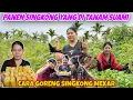 Lagu JUALAN KANGKUNG KELILING PART2, LANJUT PANEN SINGKONG BUAT SINGKONG GORENG MEKAR