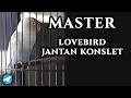 Download Lagu Master Lovebird Jantan Konslet