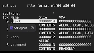 Program Diassembly
