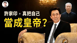 許家印把自己過成了皇帝：50名廚師隨時待命，他為極致奢華付出了什麼代價【文昭思緒飛揚571】