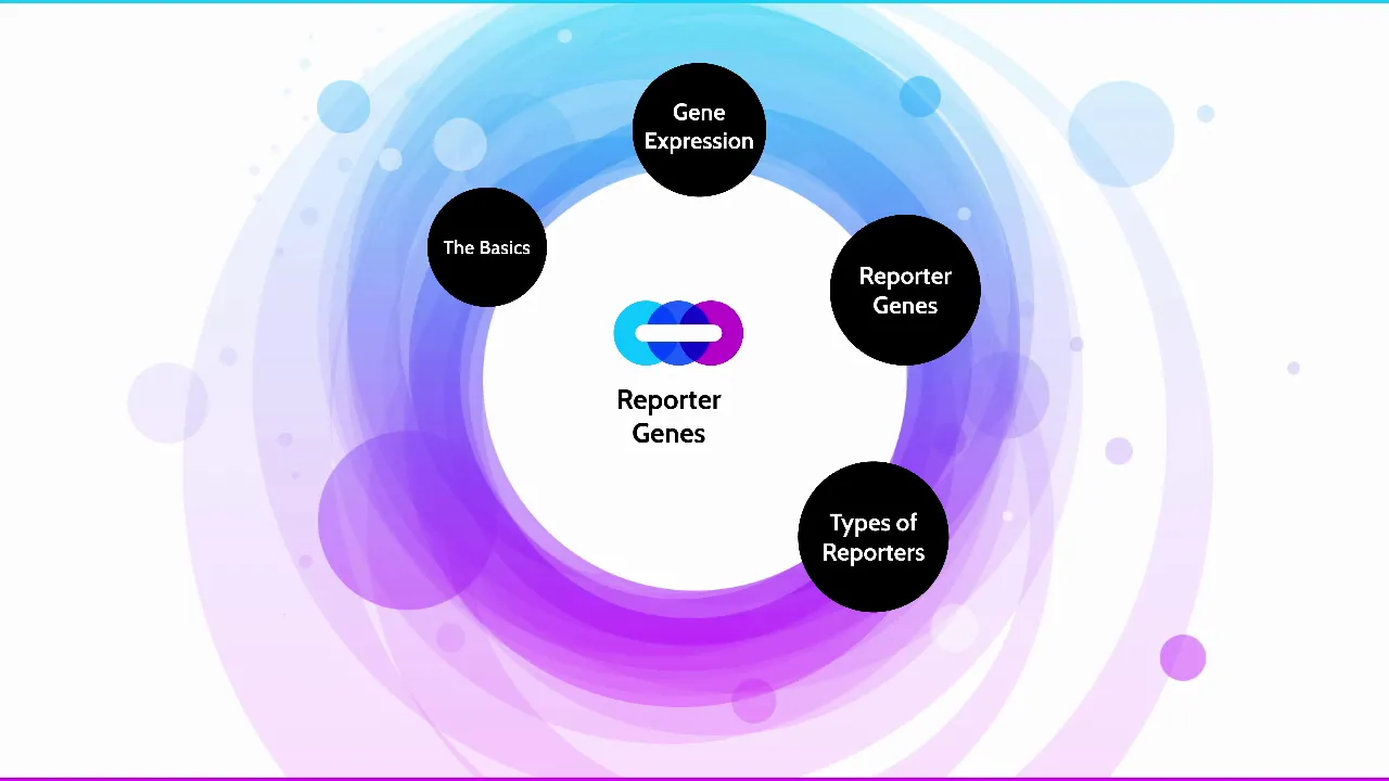 Basics of Reporter Genes