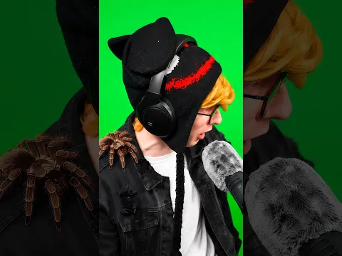 KreekCraft gets attacked by a spider 😭💀