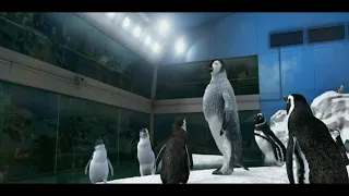 happy feet mumble in the zoo