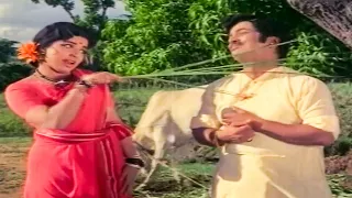 pattikaattu ponnaiya superhit comedy scene tamil movie scene hd