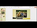 Simnet PowerPoint Independent Project 2-6 Practice Mac