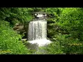Relaxing Piano Music-Sleep Music-Calming Waterfall Sounds-Relaxing Music-Meditation Music-Bird Song