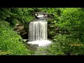 Download Lagu Relaxing Piano Music with Nature Sounds, Waterfall Sounds, Birds Sounds