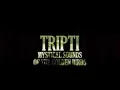 Download Lagu TRIPTI - Mystical Sounds of the Golden Birds