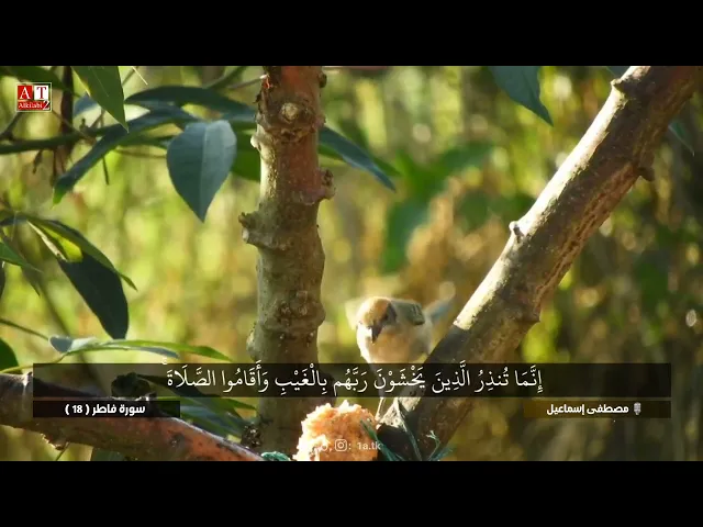 ⁣وَلَا تَزِرُ وَازِرَةٌ وِزْرَ أُخْرَىٰ ۚ .. || ياجماال التلاوة ❤️ .. الشيخ مصطفى إسماعيل