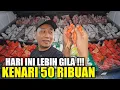 Lagu LEBIH GILA ! CUMA KIOS MANTO YG JUAL KENARI 50 RIBU OLEH2 DARI KAMPUNG RAWATAN KACAU MANIA