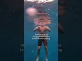 Download Lagu TIPS AGAR TIDAK TENGGELAM SAAT BERENANG DI LAUT! 🏊🏻‍♂️🌊