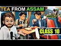 Tea from Assam class 10 In Hindi Glimpses of India Part 3 Full Explained