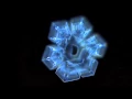 Masaru Emoto s Experiment in Gratitude