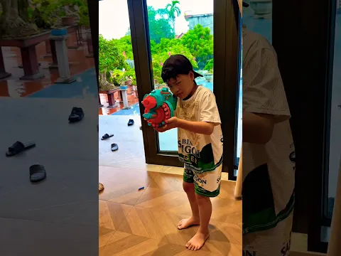 Gun nerf