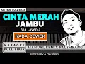 Download Lagu CINTA MERAH JAMBU CEWEK REMIX PALEMBANG | KARAOKE FULL LIRIK